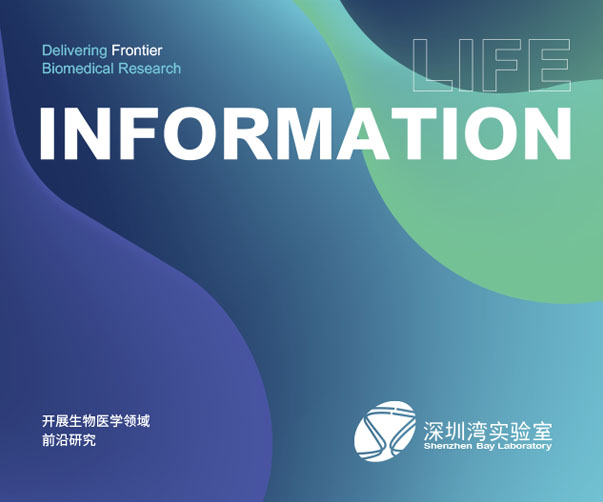 蒙特利爾上海音樂節(jié)全新品牌設(shè)計(jì)形象解析